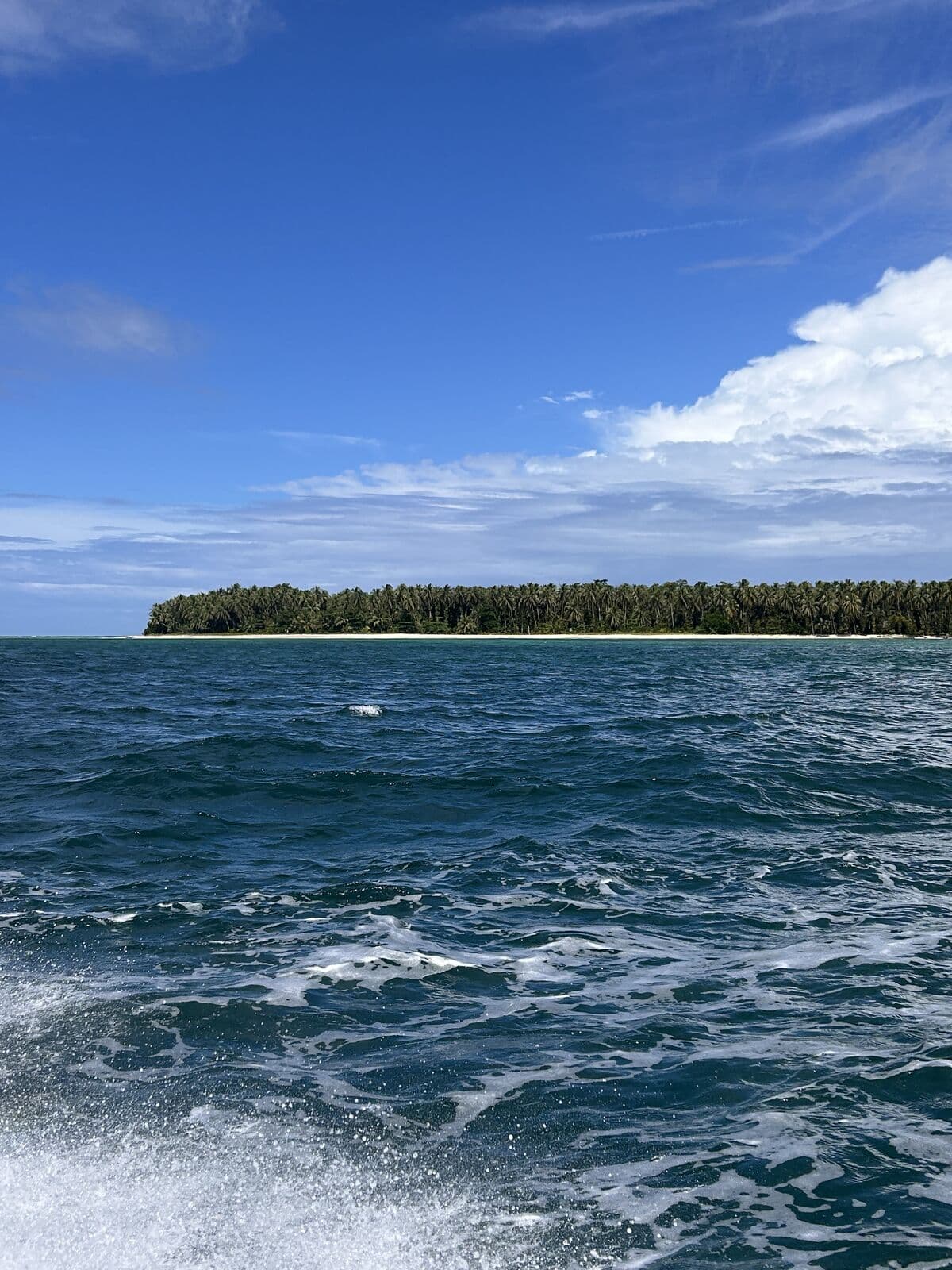 A green outer island seen from a boat in Bocas del Toro