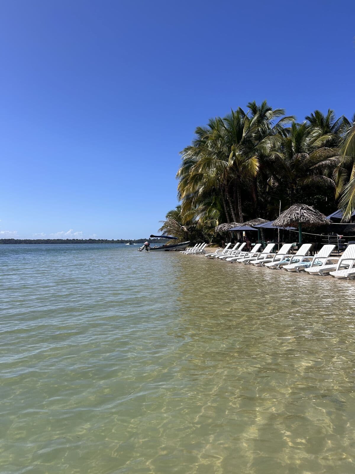 Calm shallow bay at Starfish Beach (Playa Estrella), Isla Colón