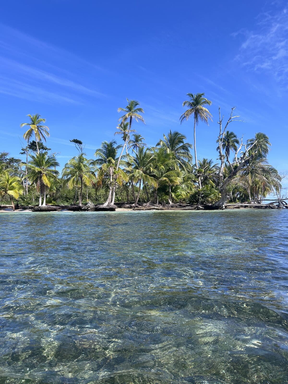 Zapatilla Cay ringed by turquoise reef water, Bocas del Toro