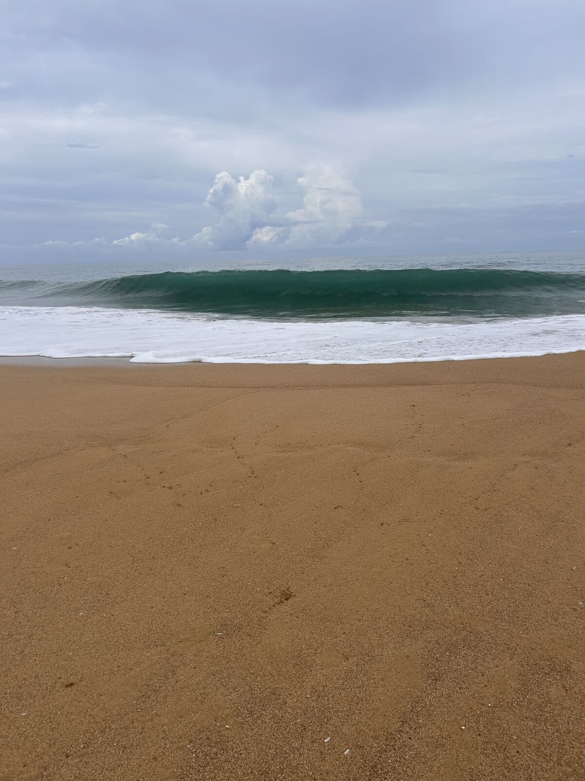 Heavy shore-break wave folding onto the sand at Bluff Beach