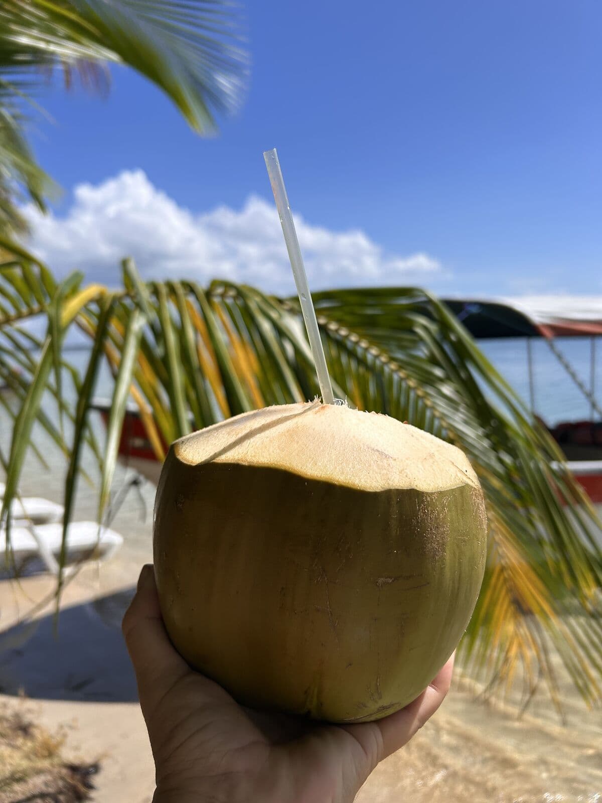 Fresh coconut with a straw at a Starfish Beach bar