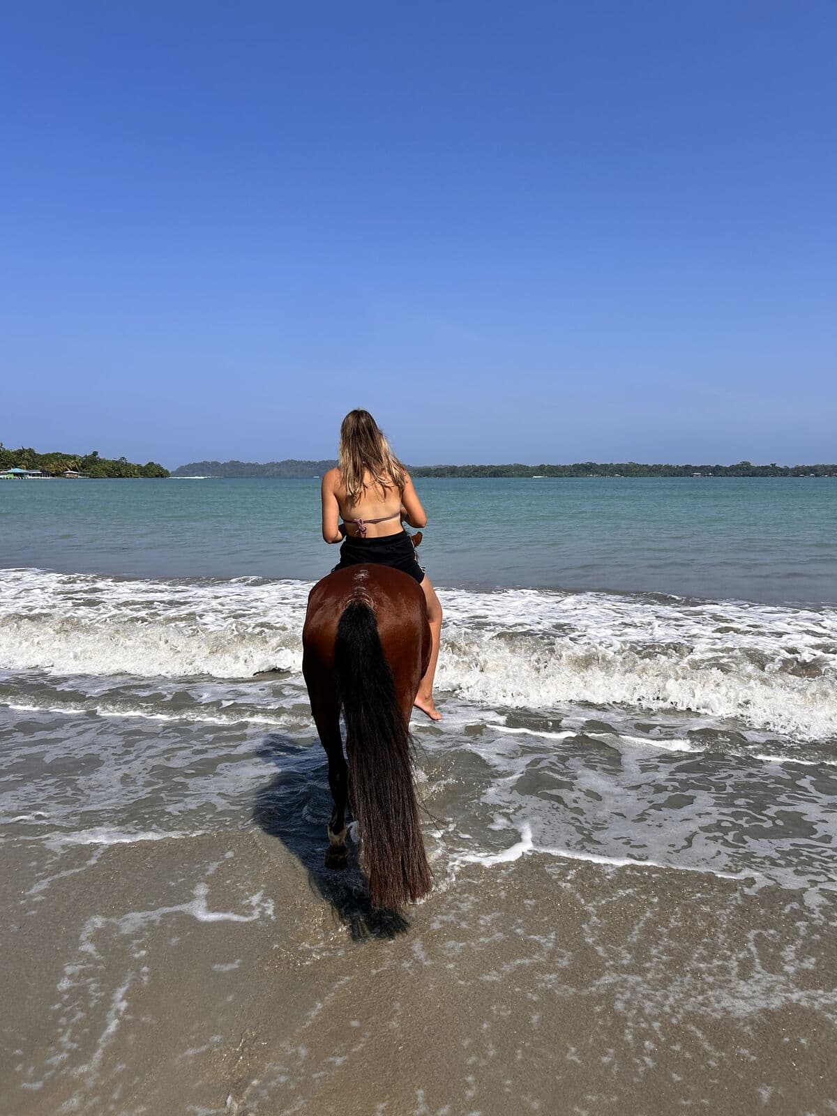 Rider on horseback entering the surf in Bocas del Toro