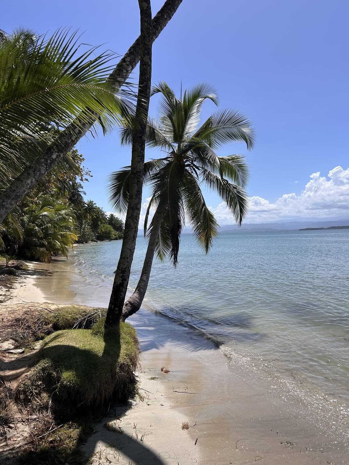 Shallow turquoise lagoon at Playa Estrella with palms on the shore