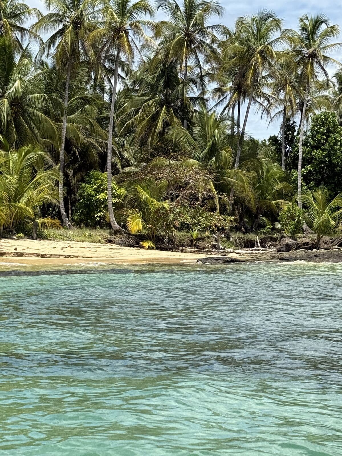 Jungle meeting the sea on the wild side of Zapatilla Cay